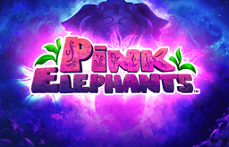 Pink Elephants