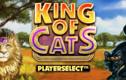 kingofcatsmegaways